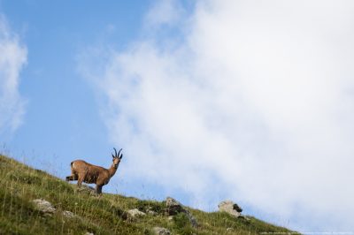 Mietwagen Rundreise Katalonien