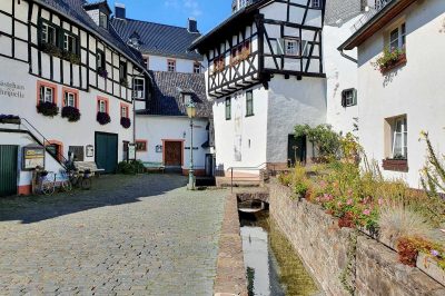 Foto Die Ahr-Quelle in Blankenheim