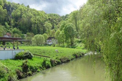 Foto Grüne Landschaft an der Wiesent