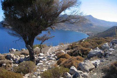Foto Wanderpfad nach Agios Antonios auf Tilos