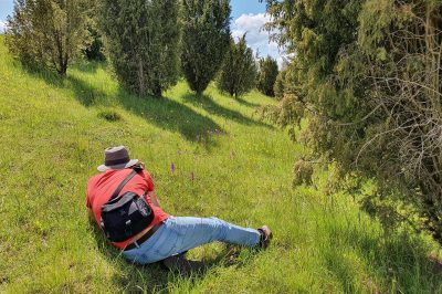 Foto Orchideen-Fotograf in der Wacholderheide am Büchelberg