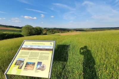 Foto Panoramablick über die Eifel vom Büchelsberg
