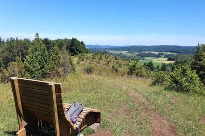 Foto Typische Ruhebank am Wacholder-Halbtrockenrasen am Hönselberg