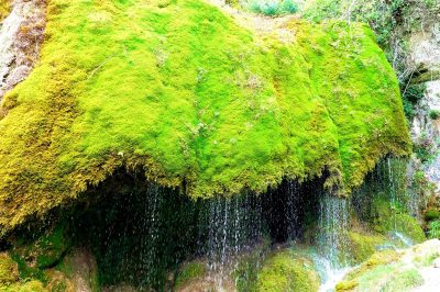 Foto Nohner Wasserfall mit Moos als 'vorantreibende' Kraft