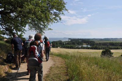 Foto Wandern in der Boddenlandschaft von Südost-Rügen