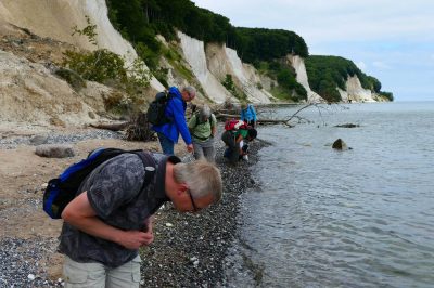 Foto Fossilien-Suche an der Kreideküste