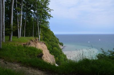 Foto Kreideküste mit Buchenwald auf der Halbinsel Jasmund